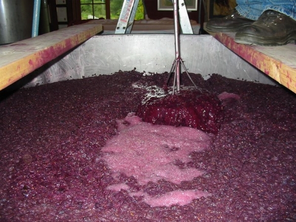 fermentazione-vino-rosso_O1.jpg