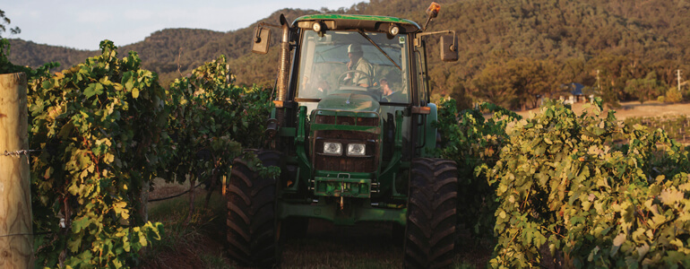 Tractor-in-vineyard-770.jpg